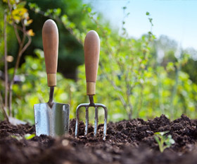 Gardening Tips